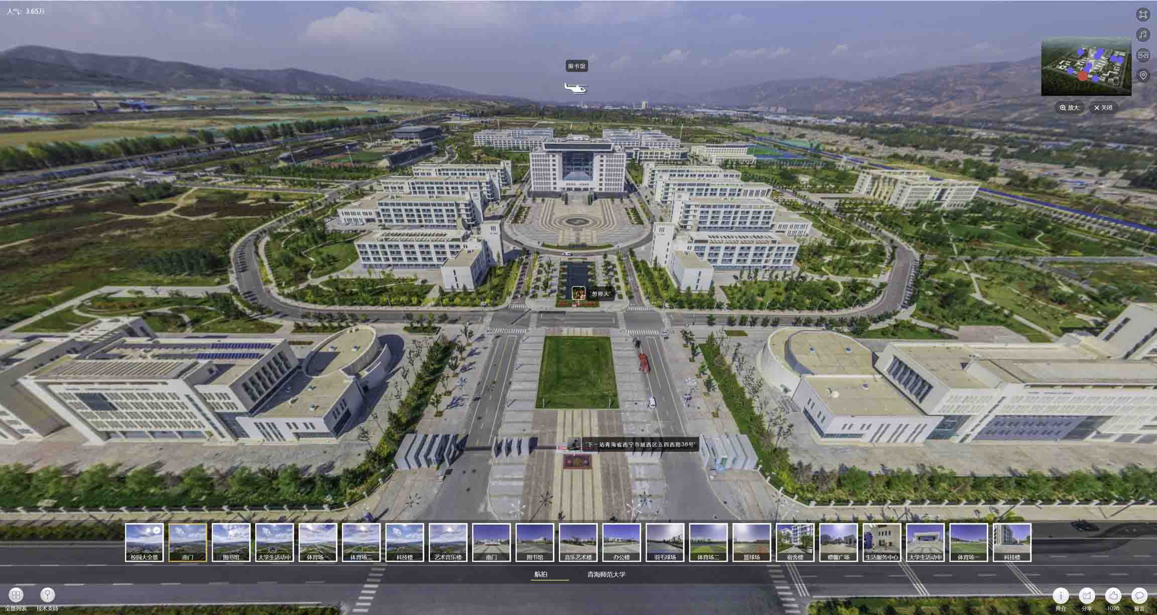 共和油菜花-惊艳半生的花海仙境